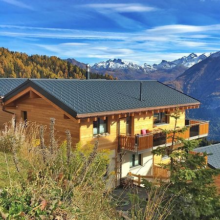Chalet La Cordee Bettmeralp Ngoại thất bức ảnh